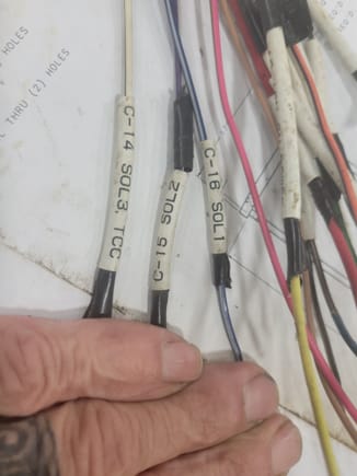 Labeled wires 4 ya