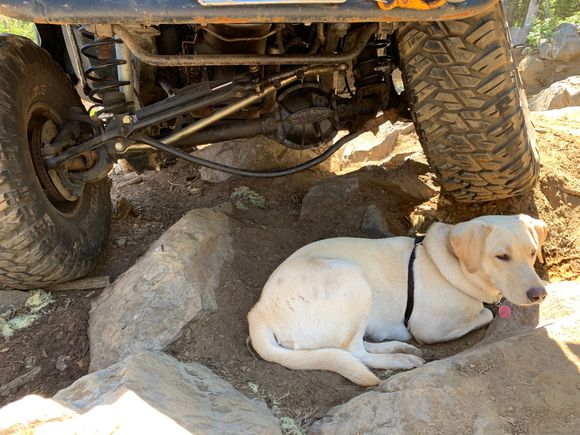So here’s an update. Up on Santiam Pass, first trail, this happen 🤪. I think I snagged it on a rock which stressed it, then when I tried to turn, the hydro ram finished it! Oh well, not bad for a $15 Rock Auto special 😂