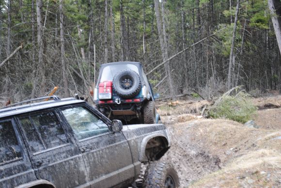 Wild Bill- 3/21/15
