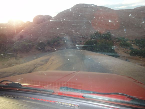 Baby Lions back sunset run