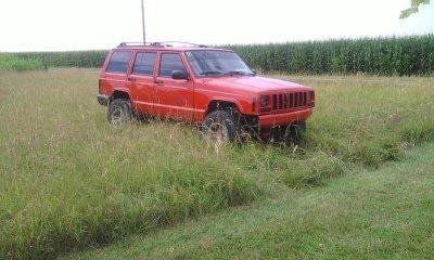 grass