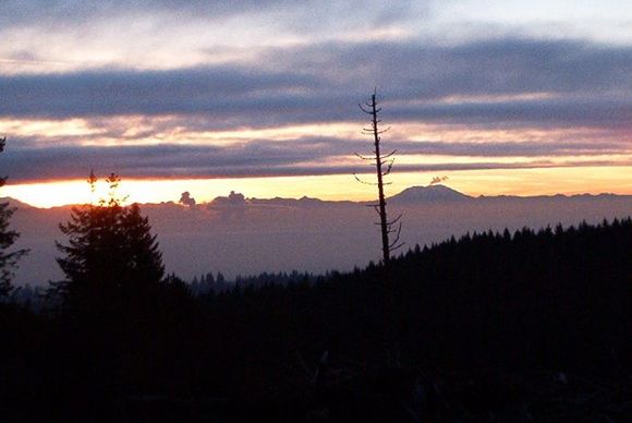 Morning power, Mount St. Helens just waking up agian!
Taken from Capitol forest