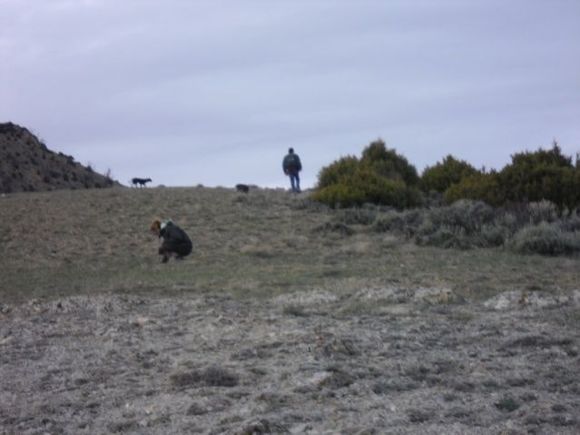 My wife kneeling over looking at Petrified wood pieces... on some of these hills/mountains they are everywhere