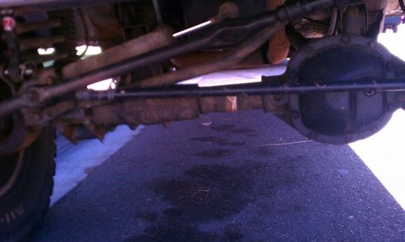 basic shot of the steering stabilizer that it came with.