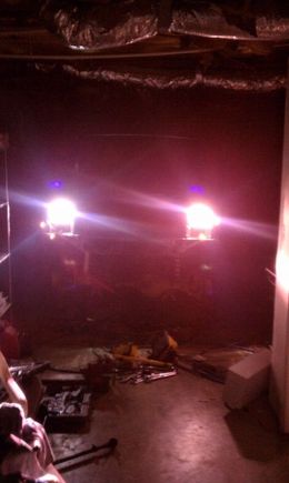 new pink H.I.D headlights