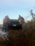 heep at kamms pasture