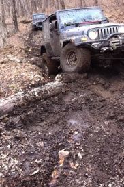 This was the trickiest part of the trail. Ended up winchin both of em...