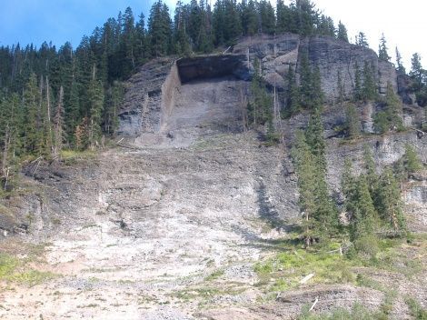 Camp Bird Road
A massive portion of this mountain fell off into the canyon. On the south side of Canyon Creek is the Waterhole Slide, an avalanche that frequently closes the road with snow depths of 20 feet or more(More, 2004). The broken vegetation is a reflection of the distructive force of avalanches