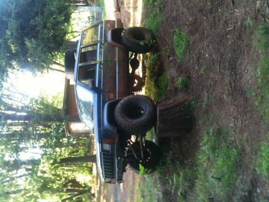 Day I brought it home