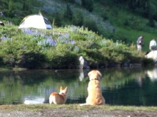 image 330781867