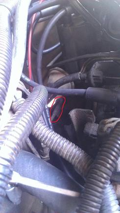 Pipe is on top of trans case.