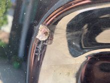 The driver’s side chip on the end 