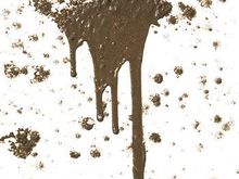 Poor little fellas , pop art or poop art!