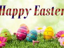 Stay safe, stay healthy! 