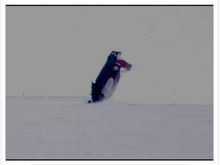 HHRcrash5