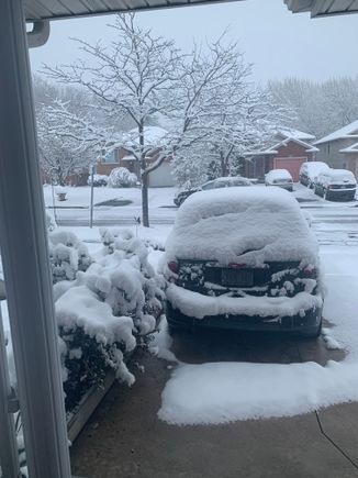 This is snow! 
