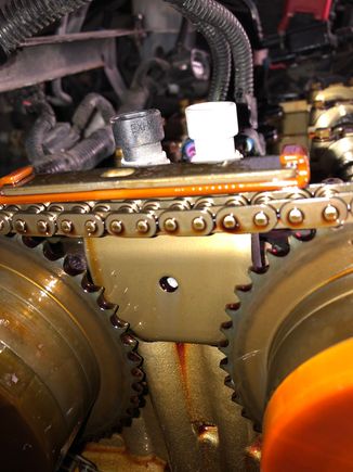 This chain was at 20,000 kilometres, that’s the metal chain guide there , my chain was close enough to scrape against it 
My tensioner guide plastic was worn away also. Never ever install cheap knockoff EBAY parts, these where labeled Evergreen Engine parts. Junk! 