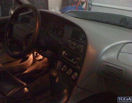 bird interior