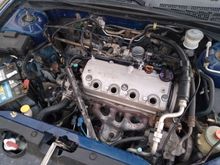 HG Replacement Attempt 1.0