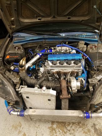 And it's back in!!!!