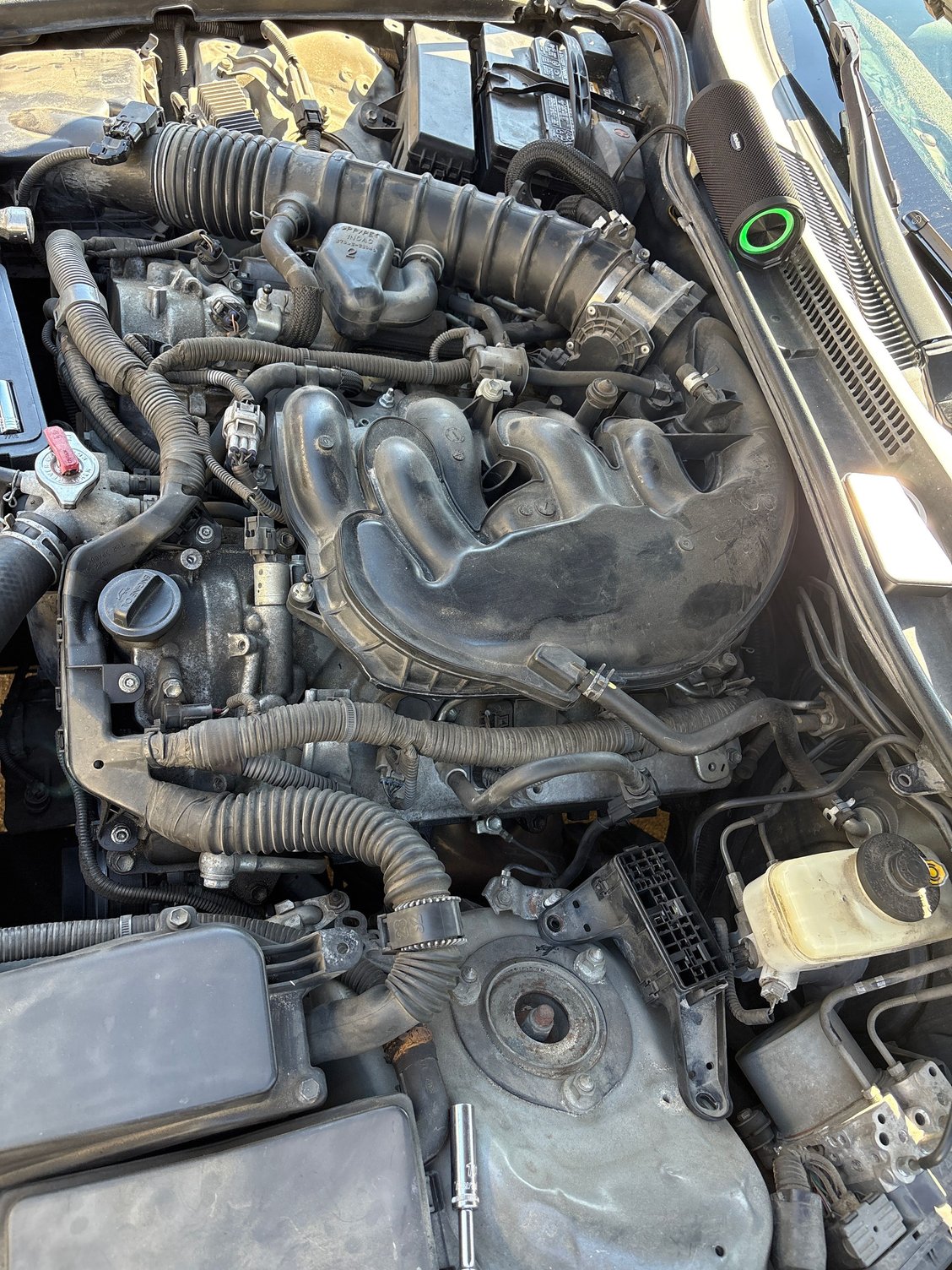 Engine for reference. Drip stains located near back of engine on drivers side.