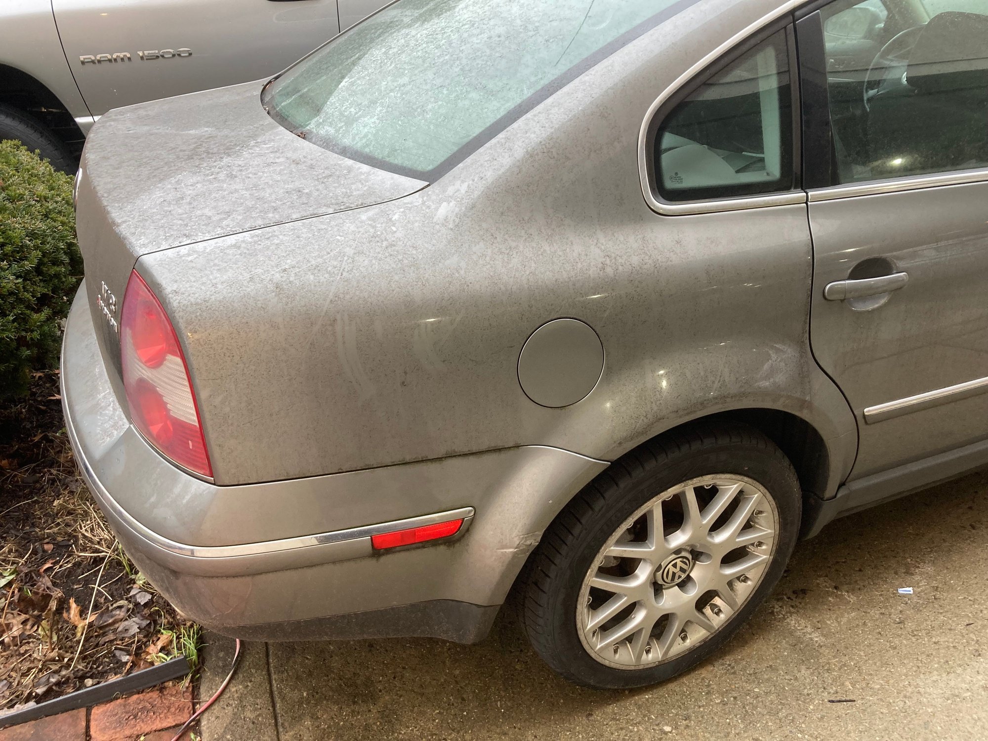 Poor thing has been sitting for a long while