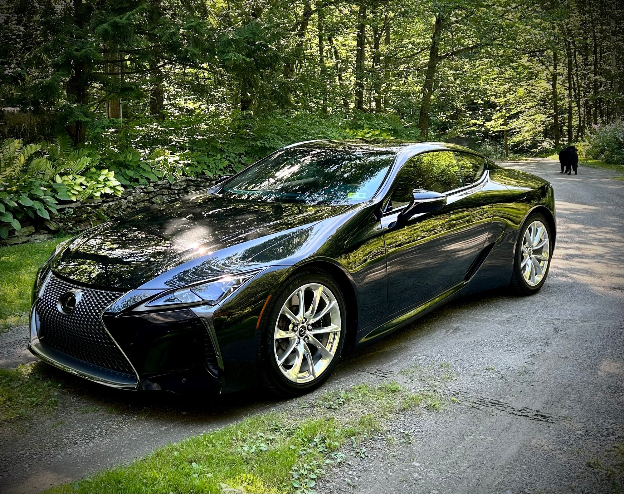 LC500, 2018 model year.