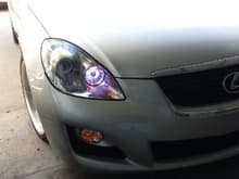 amber parklights with led DRL..gives a purple look