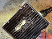I took the car out for a drive and it smelt like mouse urine with the vents on… after further inspection I found that a mouse nest was made on top of the cabin filter that had been eaten through. I am actually very surprised how much progress the mouse made in the 2-3 months this car was in my shop. Took a shop vac to the mess and replaced the cabin filter, done deal.