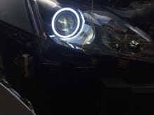 pic i took when testing the halos when i was installing the head lights. haven't finished wiring them yet. I want them to act as the DRLs and cant figure it out yet