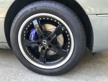 5 spoke and painted calipers.