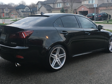 Last pic I'm gonna post of the tail lights - freshly detailed 