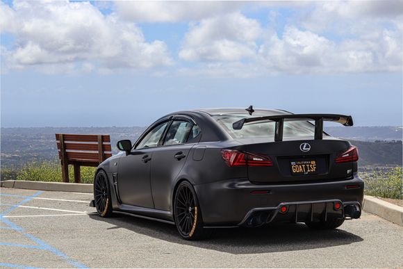 Alpheyga GTS (CCSP) wing 