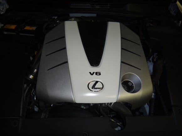 Painted engine cover and added F-sport cold air intake