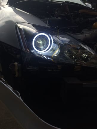 pic i took when testing the halos when i was installing the head lights. haven't finished wiring them yet. I want them to act as the DRLs and cant figure it out yet