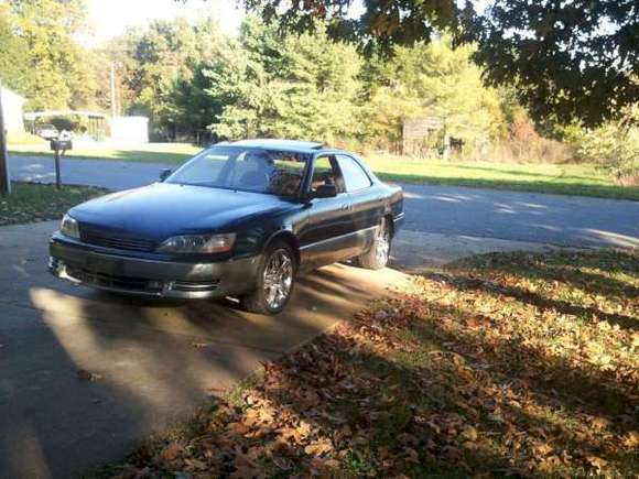 Lexus chilling in the shade.