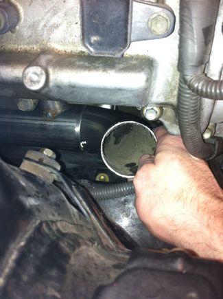 another shot of the turbo mani