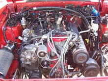 Mustang head gasket repair 129