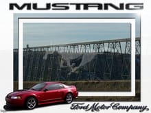 00' Mustang V6