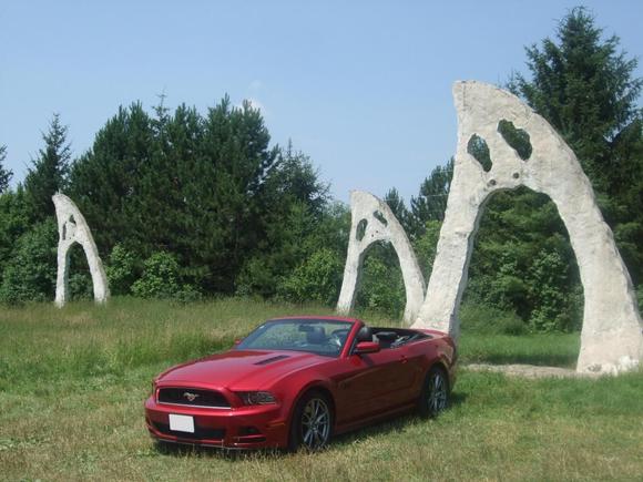 mustang howling faces