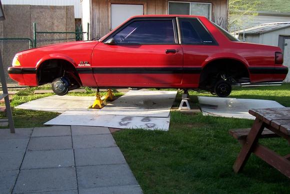 1988 Ford Mustang 5.0 HO Jan/10