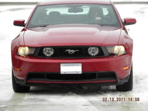 2011 GT - when we brought her home