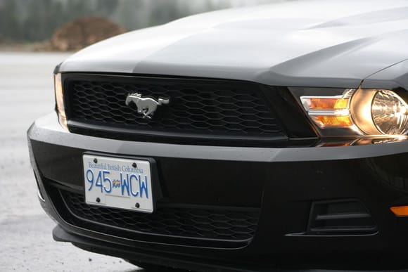 I'm wondering how this would look with a blacked-out pony badge. Black on black, or black badge on the billet grill?