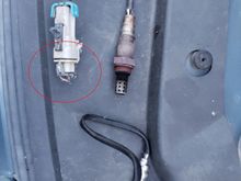 o2 sensor wiring is missing / chewed. where does this normally connect into?