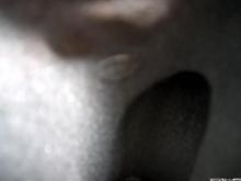 CAM 1035