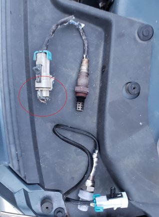 o2 sensor wiring is missing / chewed. where does this normally connect into?