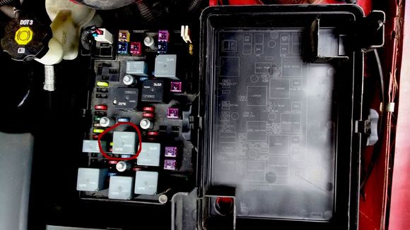 The relay circled in red.