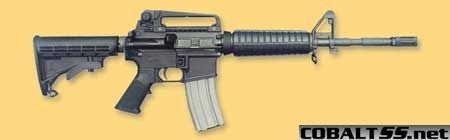 Bushmaster1