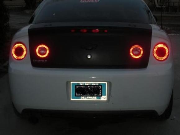 trunk2