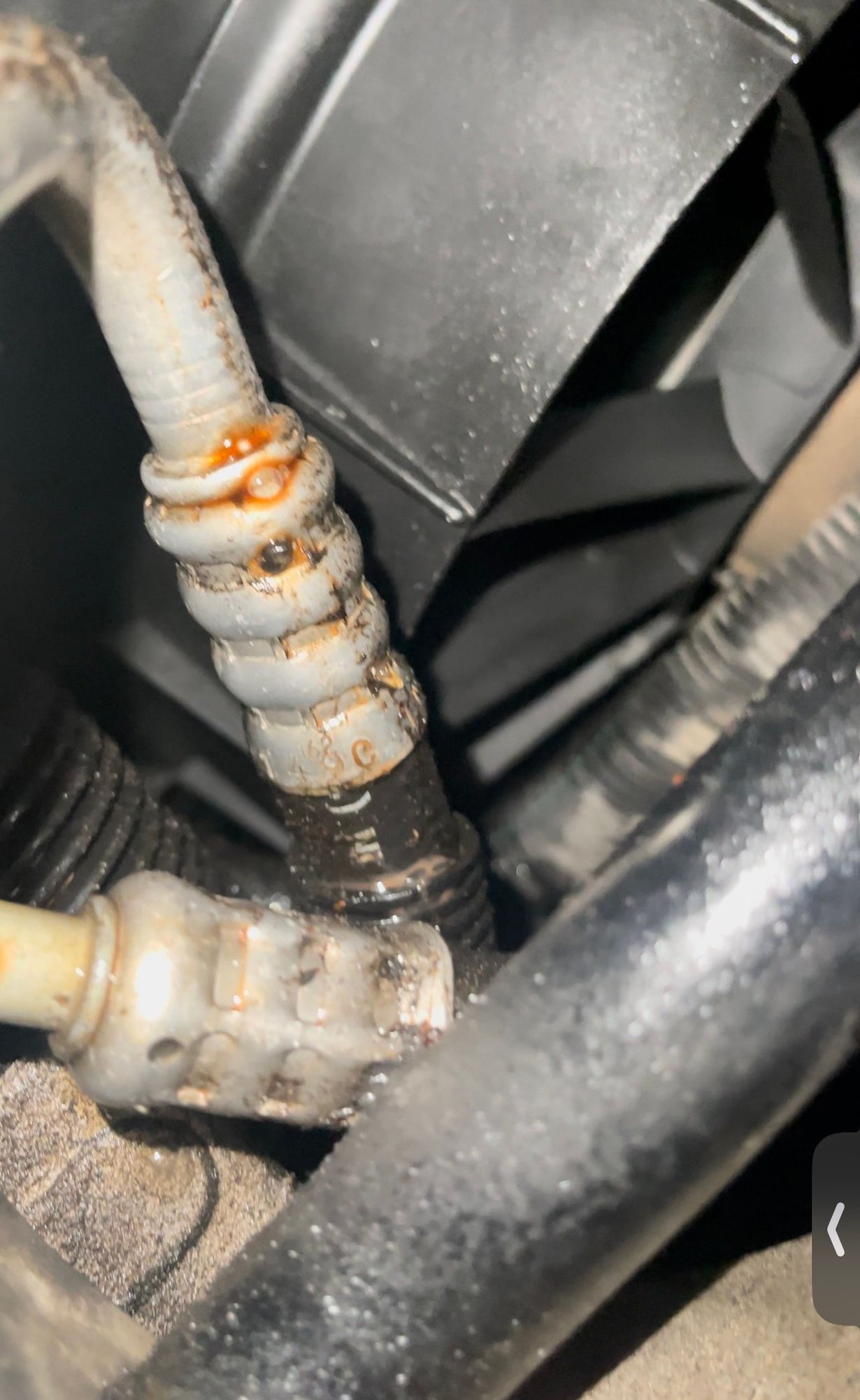 C5 corvette leak CorvetteForum Chevrolet Corvette Forum Discussion